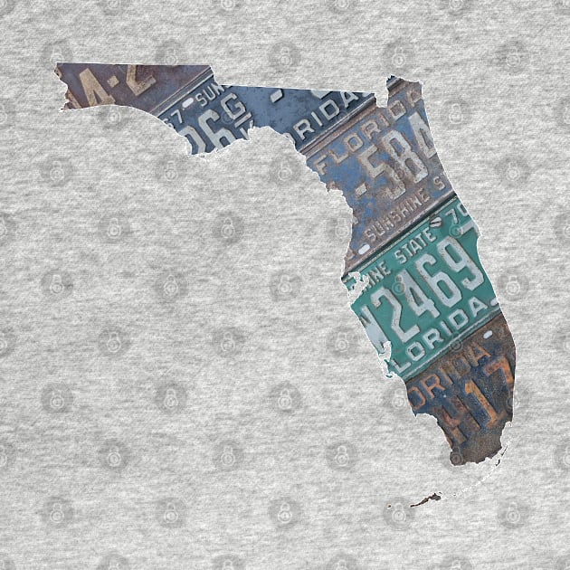 Vintage Florida License Plates by juniperandspruce